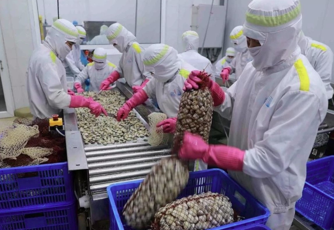 Vietnam’s mollusc exports to China soar in Q1